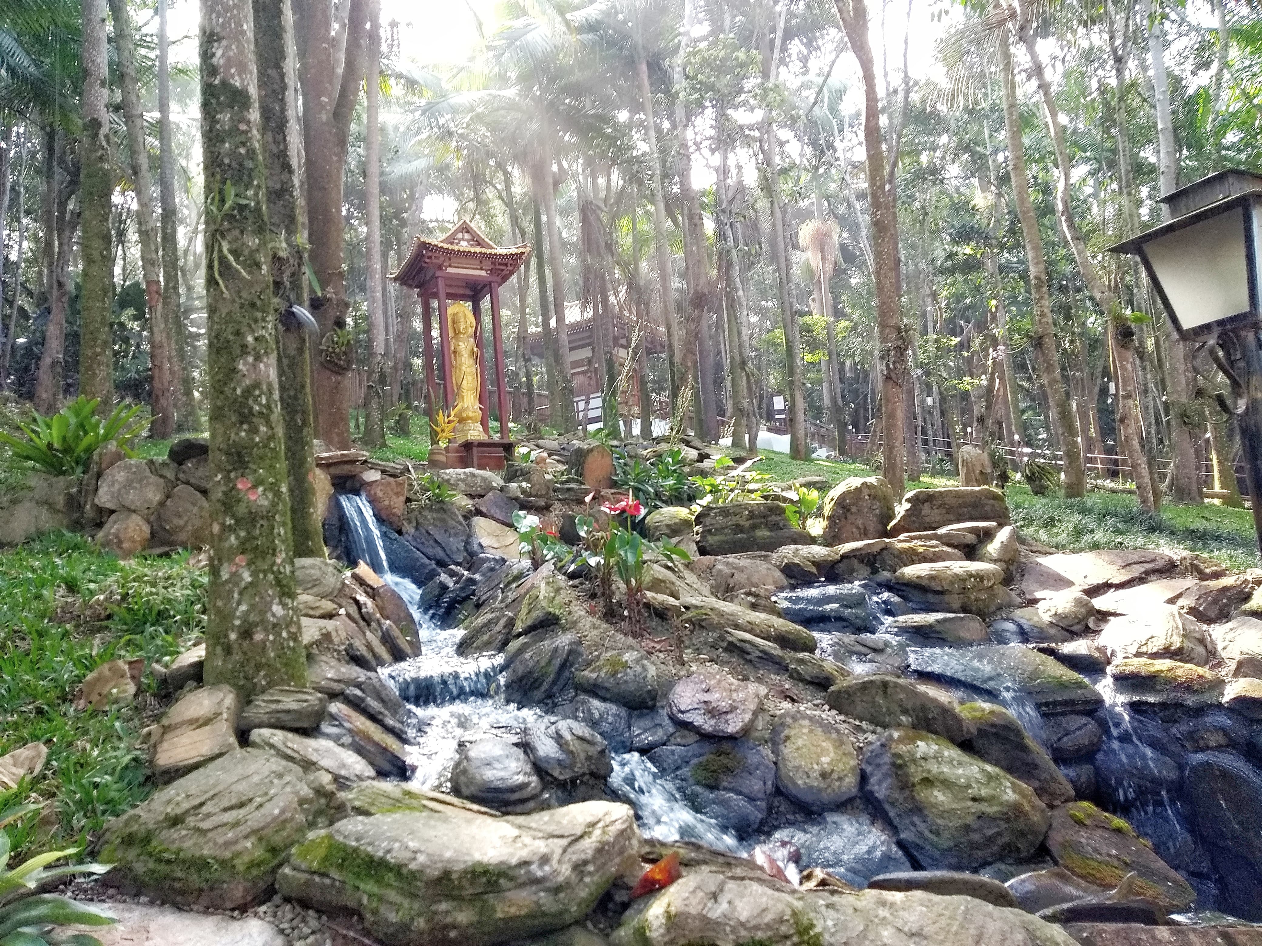 Hinode Kannon
